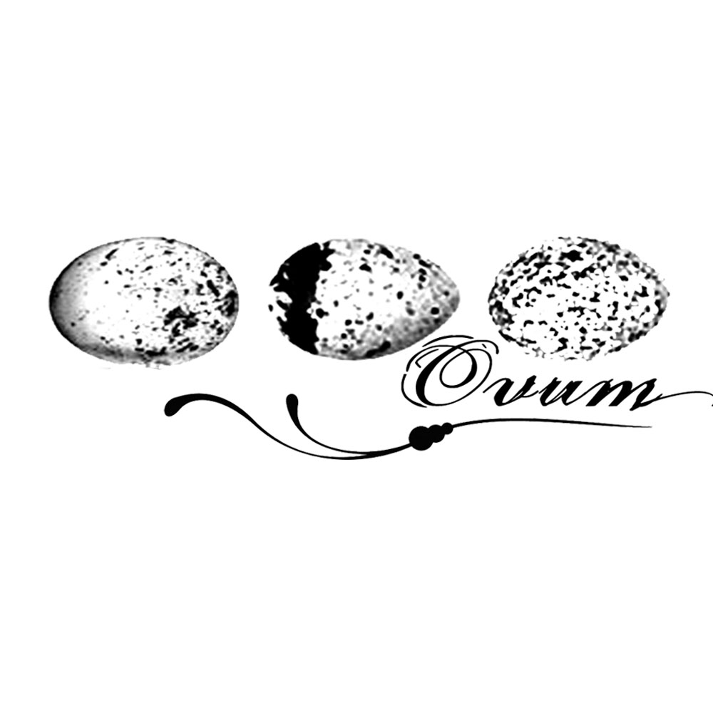 #1898 - Ovum - Nature